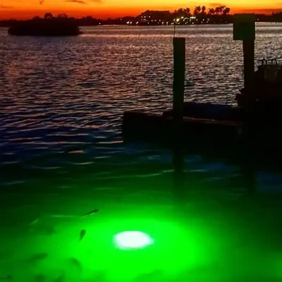 Dock Landscape Lighting Jacksonville
