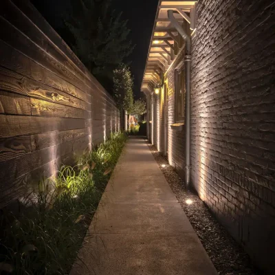 lucky-palm-landscape-path-and-wall-accent-lighting-jacksonville-fl