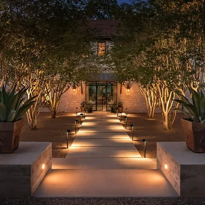 lucky-palm-landscape-path-lighting-and tree-uplighting-jacksonville-fl