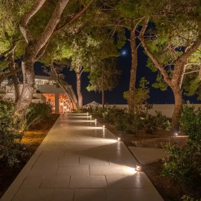 lucky-palm-landscape-path-lighting-jacksonville-fl